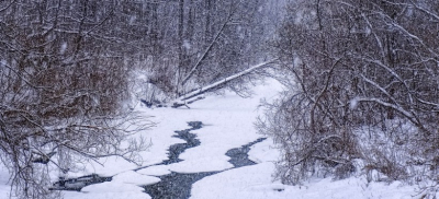 Штормовое предупреждение из-за гололеда и метели объявили в ряде регионов Казахстана