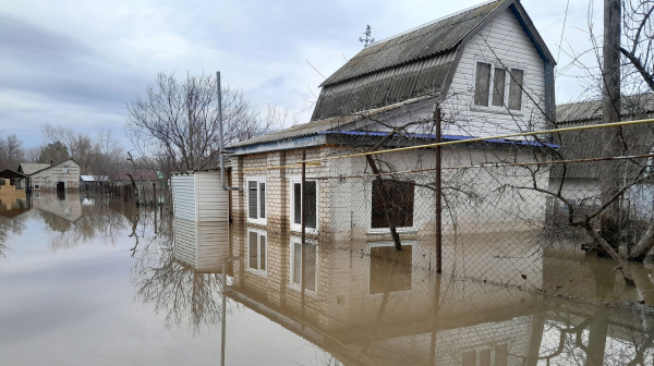Пройдох просьба не беспокоить
