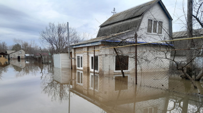 Пройдох просьба не беспокоить