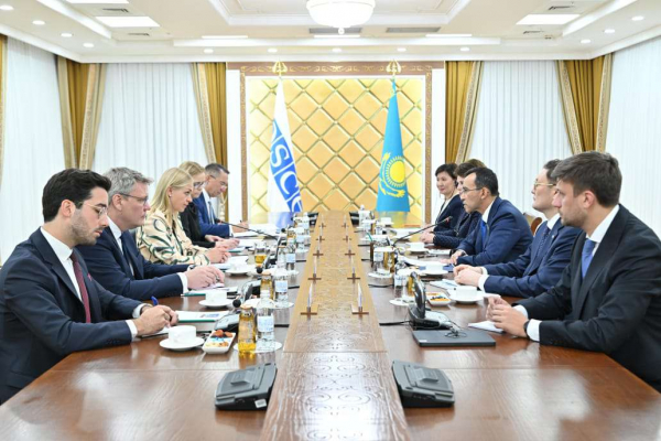 Реализацию совместных проектов обсудили Ашимбаев и Валтонен