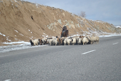 Не укради!