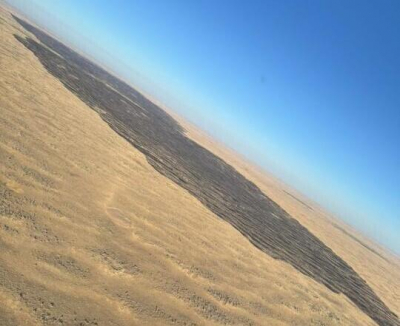 В Жамбылской области локализовали пожар на территории лесничества  Дополнено