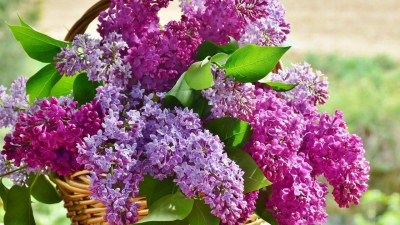 Сколько дней казахстанцы отдохнут в мае