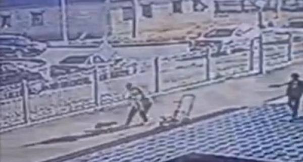Избивший щенка в Атырау: возбуждено уголовное дело