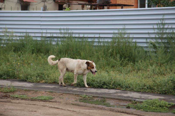 Не стреляйте в Землю!