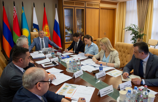 ЕАЭС: готовность стран к началу применения навигационных пломб